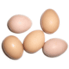 Image of Eggs
