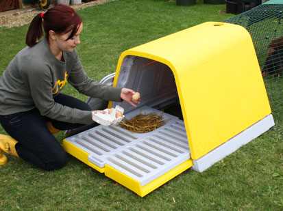 Image of the Eglu's Eggport being opened