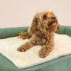 Leg het deken in de hondenmand voor extra gezelligheid en warmte tijdens de koudere maanden