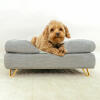 Hond zittend op Omlet Topology hondenbed met bolster bed topper en Gold haarspeld voeten
