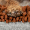 Close-up van hondenpoot op Omlet Topology hondenbed met microvezel topper