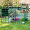 Omlet Zippi konijnenkooi met Zippi platformen, groen Zippi onderkomen en twee konijnen