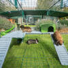 Binnenin Omlet Zippi konijnenkooi met Zippi platformen, groen Zippi onderkomen en drie konijnen