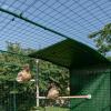 Galline utilizzano il Poletree all'interno di un recinto walk in