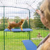 Kat klimt op blauwe outdoor kattenplank in catio buitenren met afwateringsgaten zichtbaar