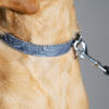 Design hondenriem en halsband contour grijs Omlet