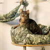 Kat in een nestbed op een platform van een binnenkattenboom