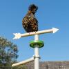 Kip zit op de top van de windvaan kippenspeelGoed accessoire voor de vrijstaande universele kip zitstok