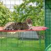 Kat ligt op rode outdoor waterdichte kattenplank in catio