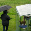 Eigenaar met paraplu naast kat in inloopren met doorzichtige overkapping