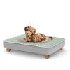 Een puppy rustend op het kleine Topology puppybed met vierkante houten pootjes