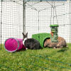 Zippi konijnenverblijf met konijn Zippi platform en Caddi konijn traktatie houder