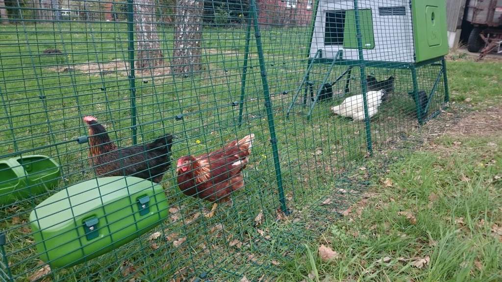 Renuitbreiding Voor De Eglu Cube Mk2 1m