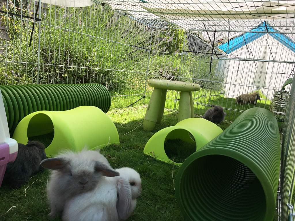 Zippi Tunnel Dubbelverpakking Zippi caviatunnel accessoires