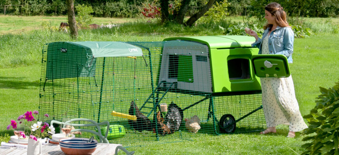 Het Eglu Cube kippenhok maakt het houden van kippen makkelijk en leuk, perfect voor newbies en ervaren kippenhouders Het Eglu Cube kippenhok maakt het houden van kippen makkelijk en leuk, perfect voor newbies en ervaren kippenhouders