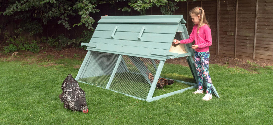 Kinderen zullen het ontzettend leuk vinden om eieren te verzamelen uit het Boughton kippenhok