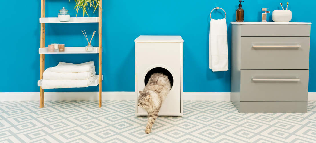 Kat klimt uit Omlet Maya kattenbak meubilair