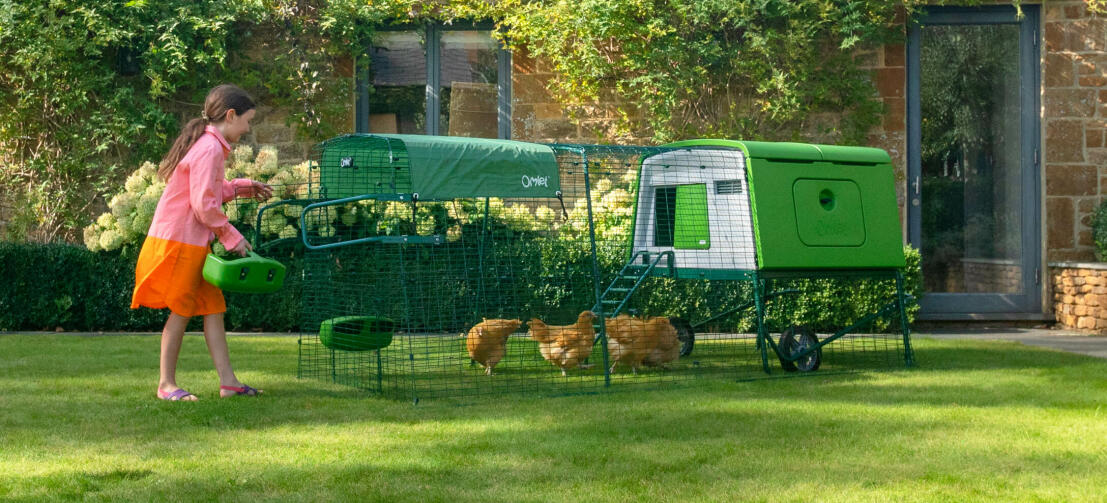 Jong meisje dat kippen voedt in een groen Cube kippenhok met een ren en dekking Jong meisje dat kippen voedt in een groen Cube kippenhok met een ren en dekking