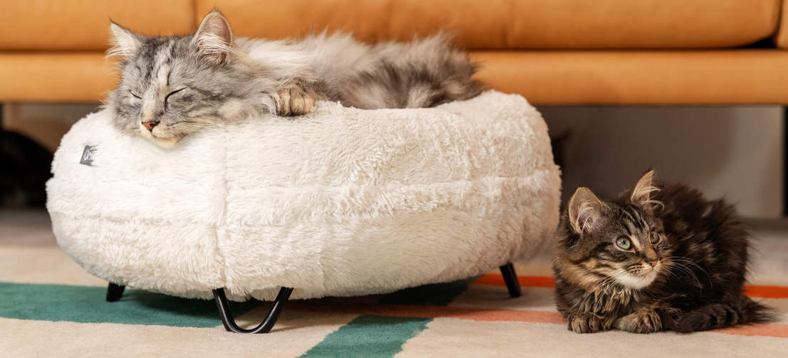 Kat rustend op de Luxurious soft donut kattenbed in Snowbal witte kleur met metalen zwarte haarspeld design poten