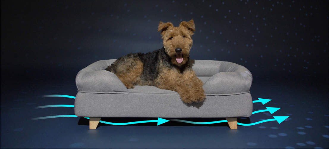 Door de mand van de grond te halen houdt u deze schoner en hygiënischer voor uw hond doordat de ventilatie wordt verbetert en een opbouw van stof en vuil wordt beperkt