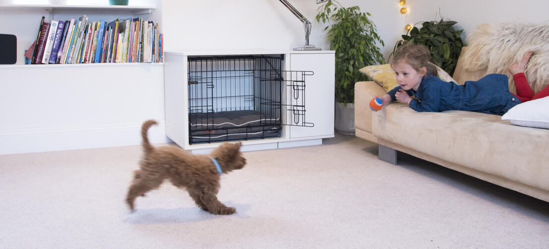 Kenners zijn het erover eens dat benchtraining de snelste en betrouwbaarste methode is om uw puppy te trainen