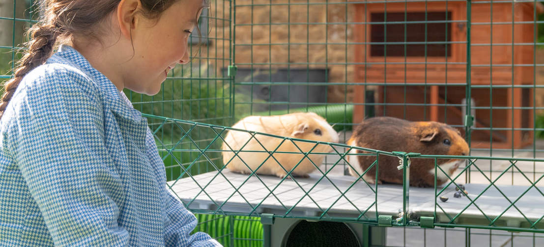 Kinderen vinden het enorm leuk om met hun dieren te kunnen spelen op ooghoogte