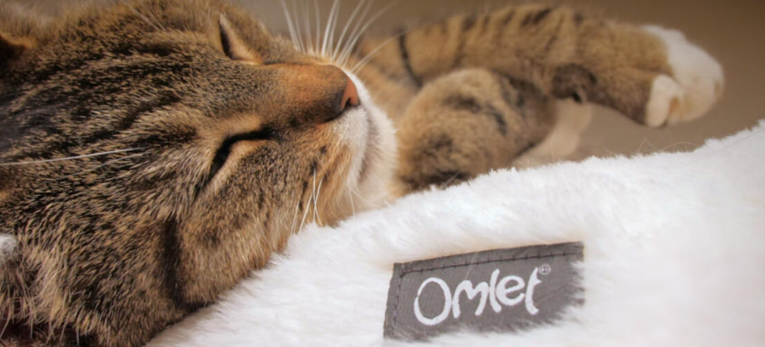 Close-up van kat die slaapt op gezellig Maya donut kattenbed