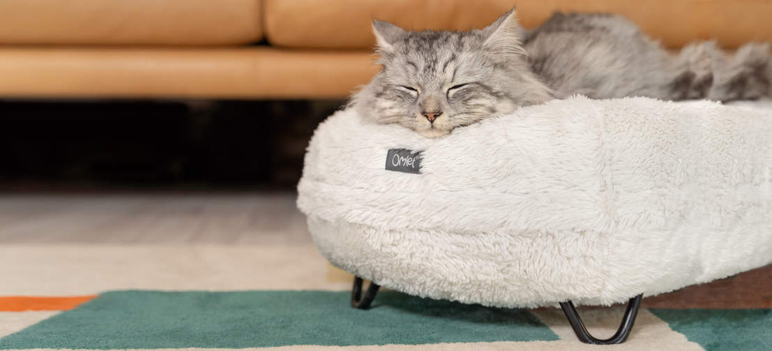 Kat slapend op een Snowbal wit zacht Luxury Maya donut kattenbed met zwarte haarspeld metalen poten