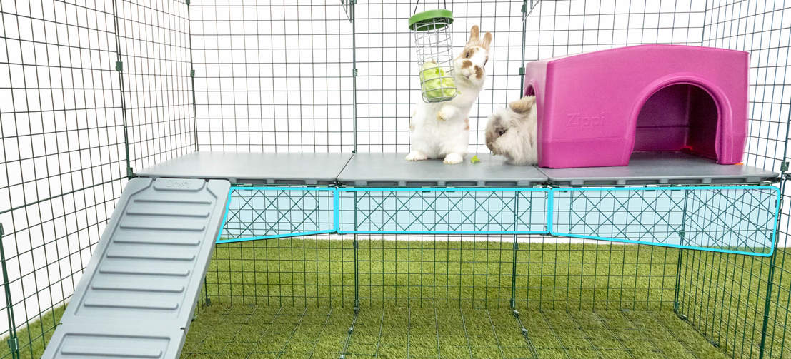 Zippo vides zijn voorzien van stevige steunen die voorkomen dat de vides buigen wanneer uw konijnen er gebruik van maken