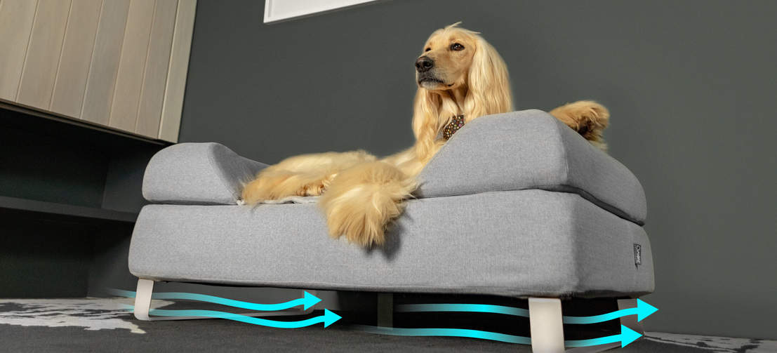 De mand met pootjes van de vloer halen verbetert ventilatie en hygiëne, wat zorgt voor een blijere en gezondere hond