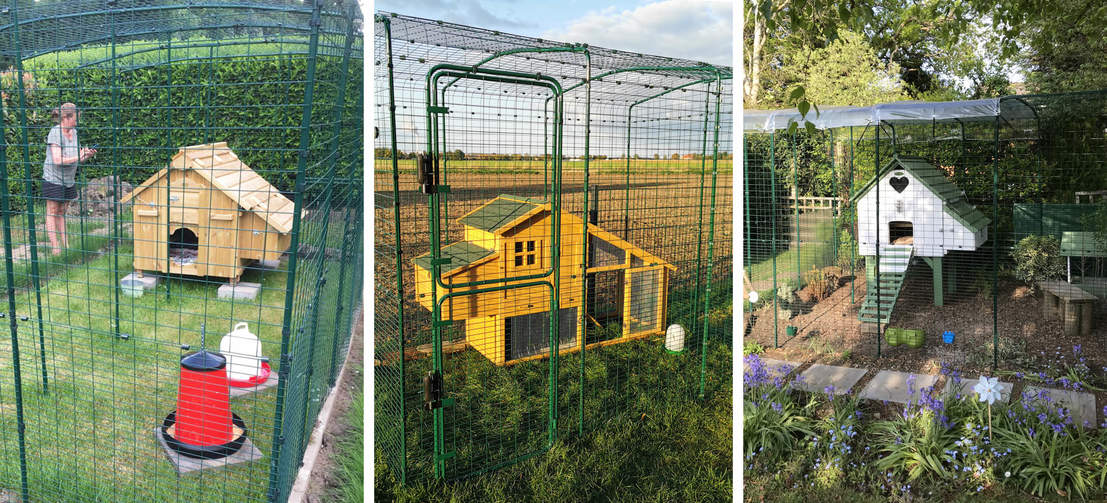 De bijzonder veelzijdige inloopren kan worden gebruikt in combinatie met elk houten kippenhok De bijzonder veelzijdige inloopren kan worden gebruikt in combinatie met elk houten kippenhok