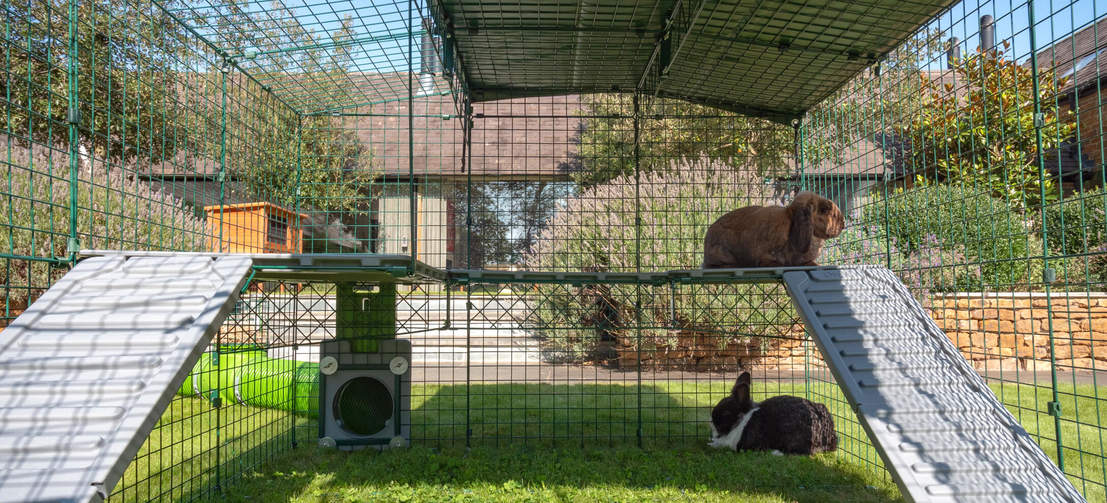 Zippi vides zijn perfect voor alle seizoenen; onder de vide vinden konijnen beschutting tegen de wind, regen en zon.