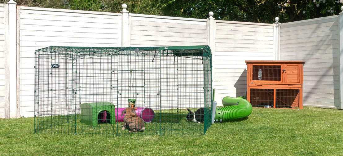 Hands-Free konijnen overzetten! Verbind uw konijnenhok met een Zippi ren en geeft uw konijnen 24/7 toegang tot een grote, veilige speelruimte