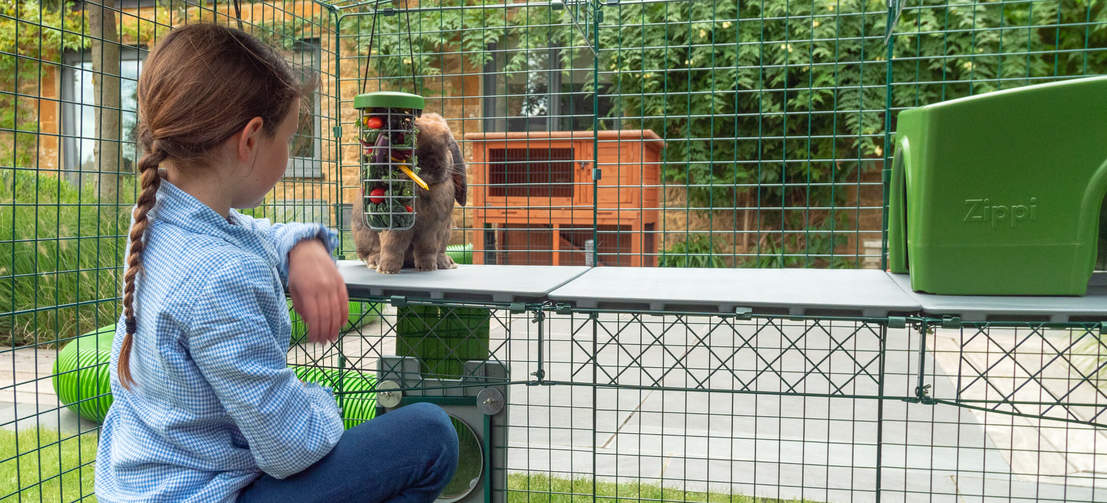 Zippi vides bieden kinderen en hun dieren een nieuwe wijze van interactie