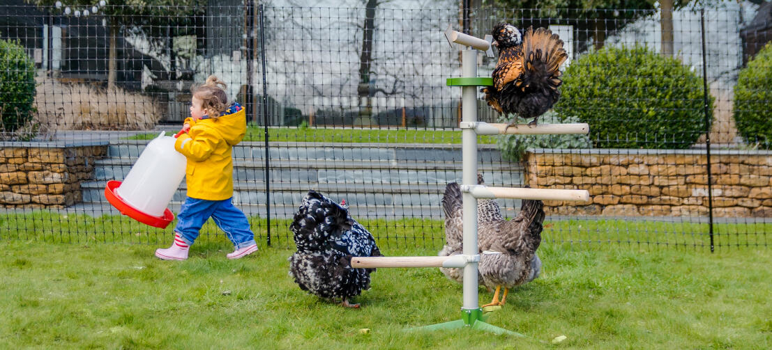 Meisje dat voederbak bij kippenboom draagt