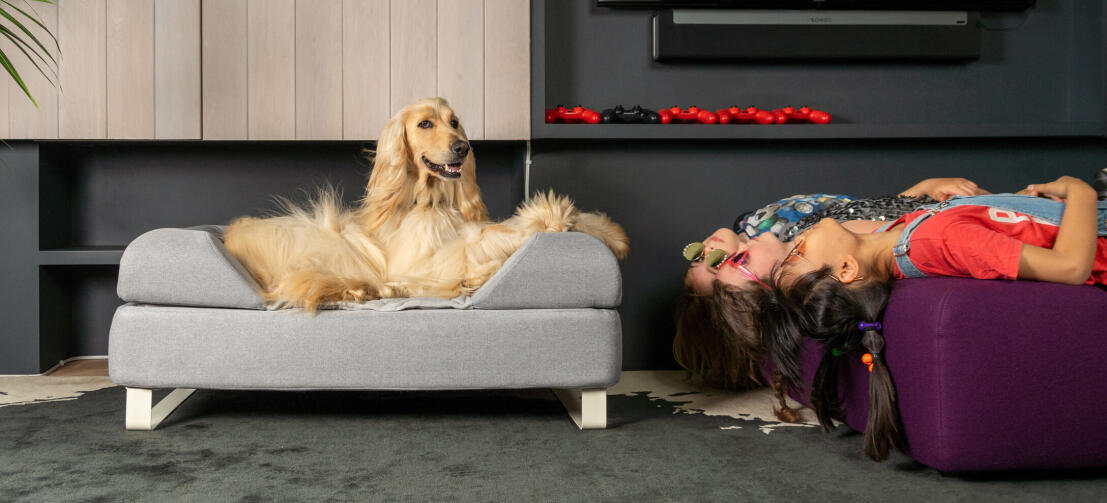 Hond liggend op Omlet Topology hondenbed met bolster bed topper en witte rail voeten met meisjes liggen ondersteboven