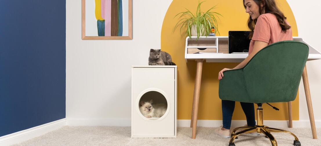 Schattige pluizige witte kat zittend binnen van Maya binnenkattenhuis terwijl de grijze kat bovenop zit