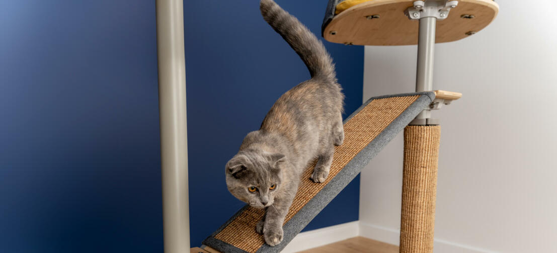 Cat on Freestyle indoor kattenboom platform van vloer tot plafond met vervangbaar sisal