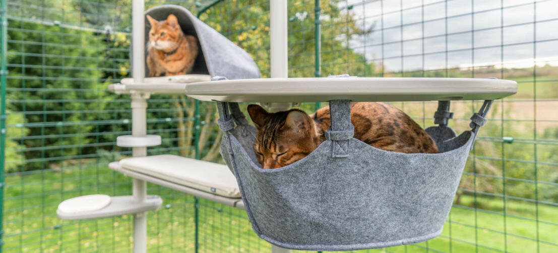 Een kat slaapt in de hangmat en een andere kan speelt in het holletjes-accessoire voor de outdoor Freestyle kattenklimpaal