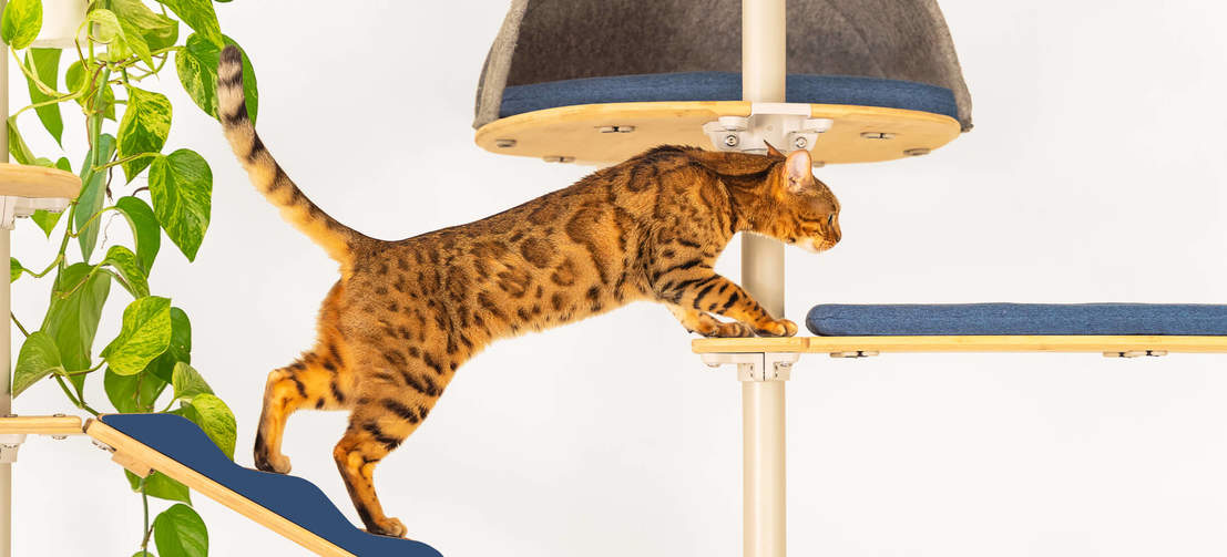 Kat klimmen Freestyle indoor vloer tot plafond kat boom