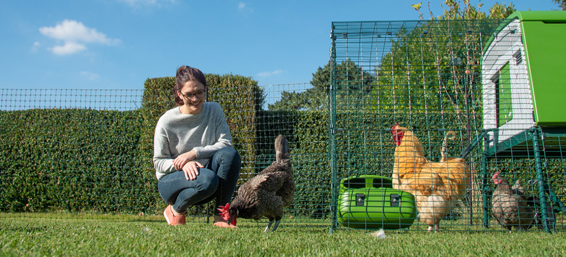 De donkergroene afrastering gaat prachtig op in uw tuin