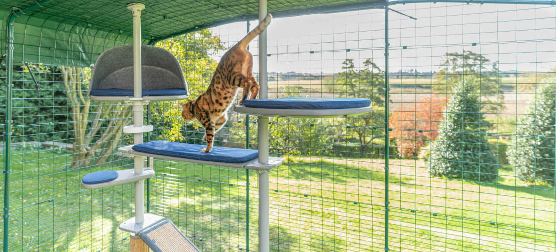 Een kat speelt in zijn hoge grijze klimpaal, een ideale manier om katten een veilige plek in de buitenlucht te bieden