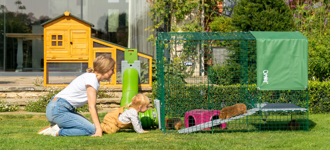 Een gezin dat met cavia's speelt naast de Zippi ren.