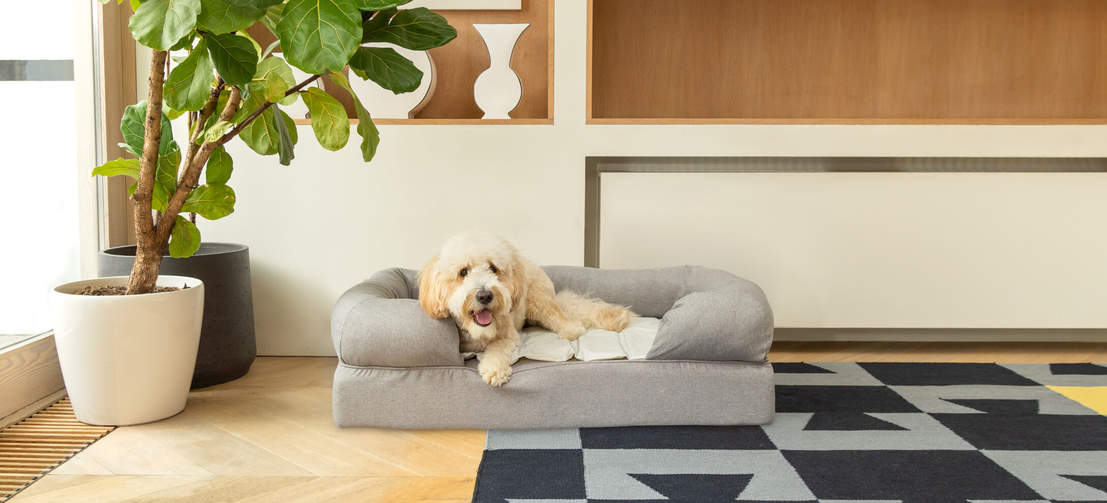 De zelfkoelende mat houdt uw hond een aantal uren koel, waardoor de kans op een hitteberoerte na inspanning wordt verkleind