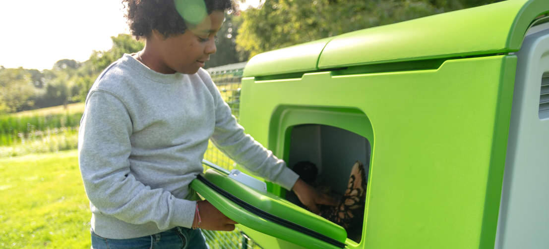 Kinderen vinden het heel leuk om voor kippen te zorgen en dagelijks verse eieren te verzamelen! Kinderen vinden het heel leuk om voor kippen te zorgen en dagelijks verse eieren te verzamelen!
