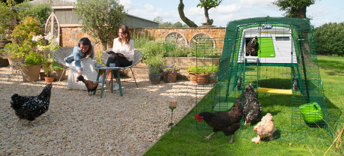 Dames zitten in de tuin met rondscharrelende kippen voor een groot Eglu Cube kippenhok