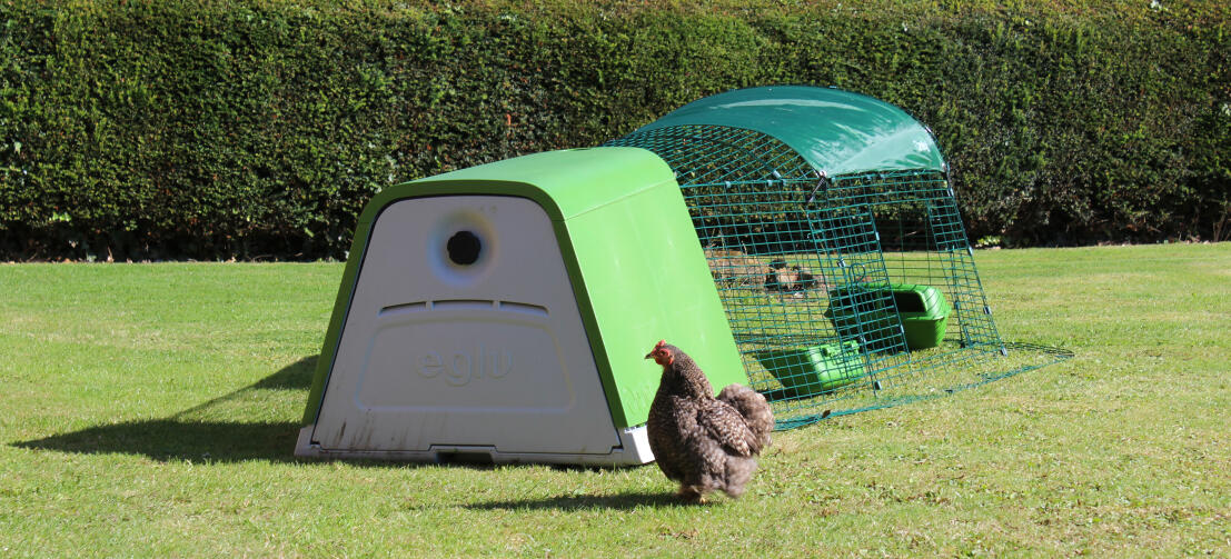 Dankzij de dubbele wandisolatie houdt het Eglu Go kippenhok uw kippen koel in de zomer en warm in de winter.