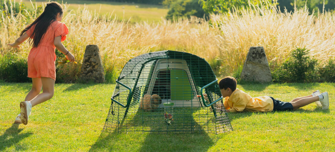 Kinderen spelen in de tuin en hebben interactie met hun konijn door het gaas van de ren.
