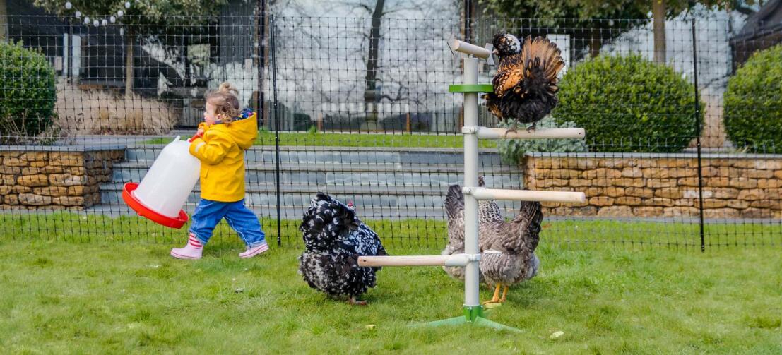 Kind geniet van het gezelschap van hun kippen in de tuin