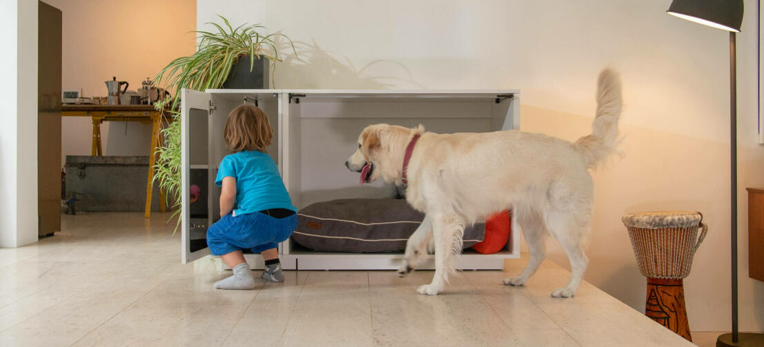 Fido Nook Lux ury hondenkrat garderobe houdt hondenvoer riemen en kleding netjes